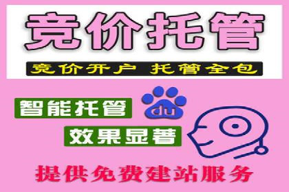 案例解析：网络推广竞价如何助力企业快速发展